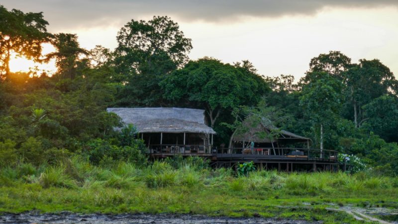Kamba Africa : quand l’hospitalité devient un outil de conservation au Congo Brazzaville