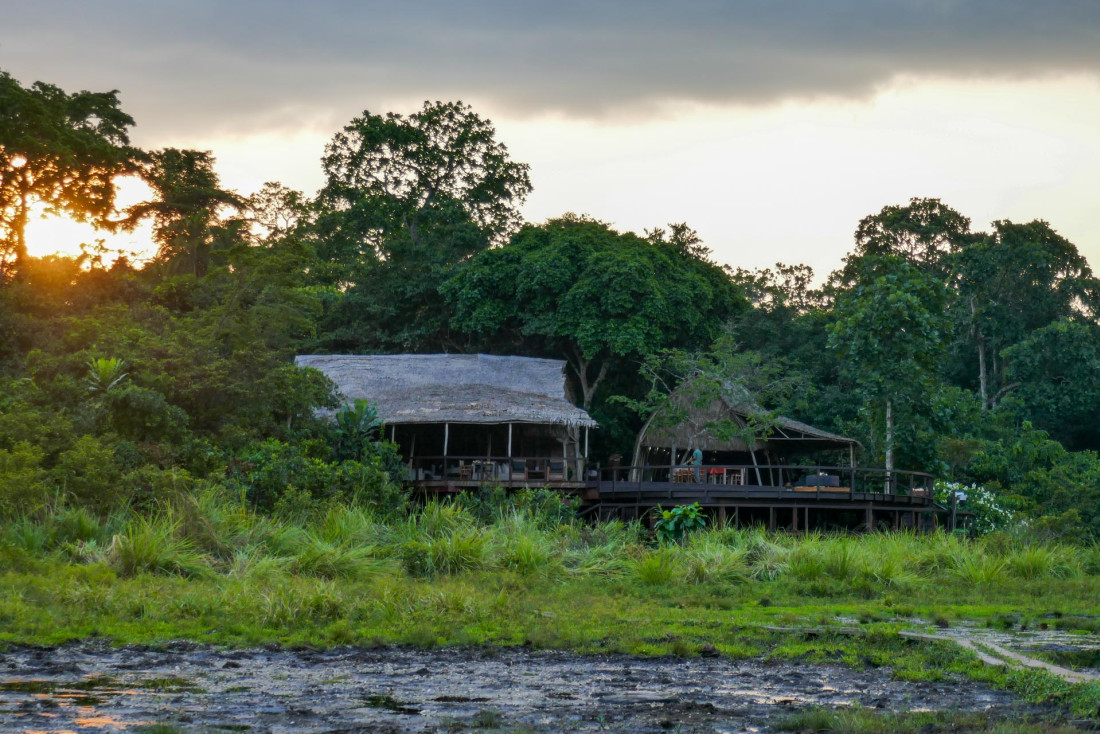 Kamba Africa : quand l’hospitalité devient un outil de conservation au Congo Brazzaville