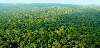 50 millions d’euros pour un nouveau Fonds fiduciaire nature pour la santé et la prévention des pandémies initié par l’Allemagne.