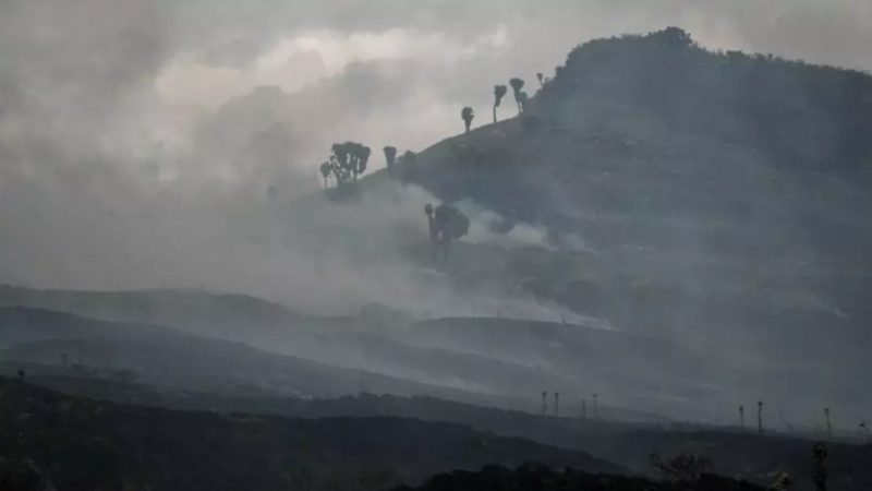 Environnement: l&rsquo;Afrique brûle en permanence