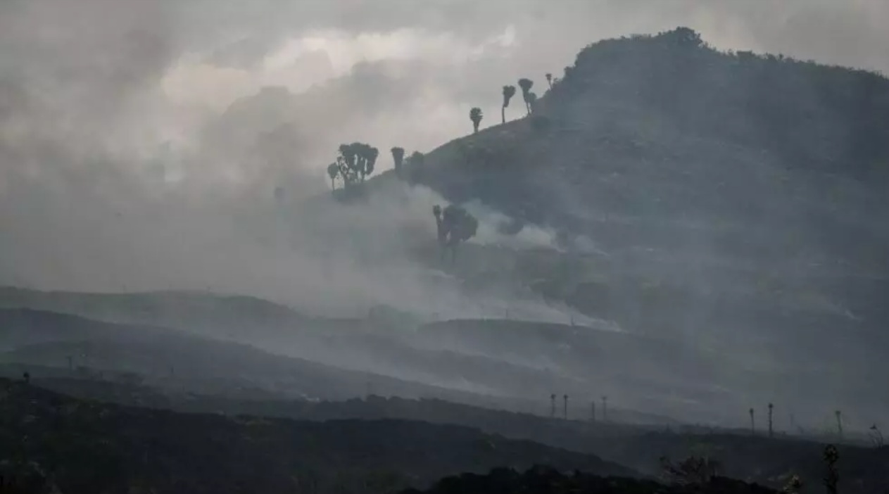 Environnement: l&rsquo;Afrique brûle en permanence