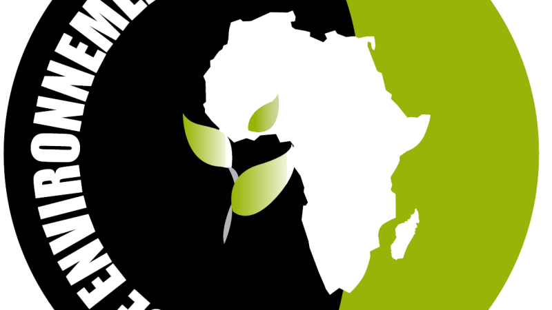 Afrique environnement plus