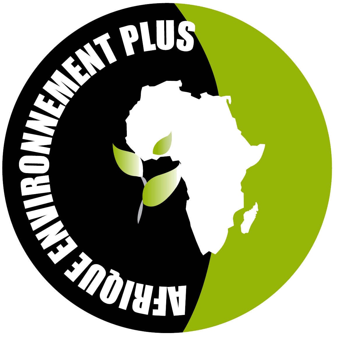 Afrique environnement plus