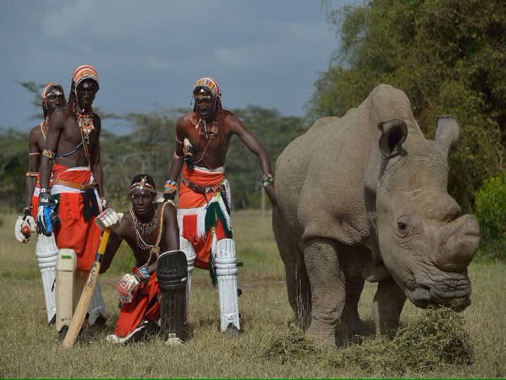 Biodiversité : En Afrique, la protection militarisée de l’environnement menace les populations autochtones