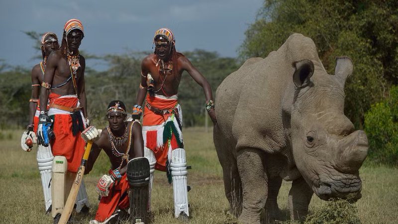 Biodiversité : En Afrique, la protection militarisée de l’environnement menace les populations autochtones