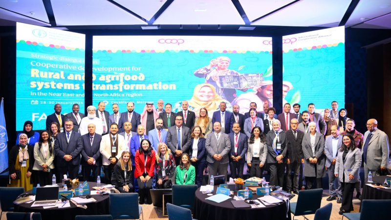 FAO & ACI : unis pour des systèmes agroalimentaires durables