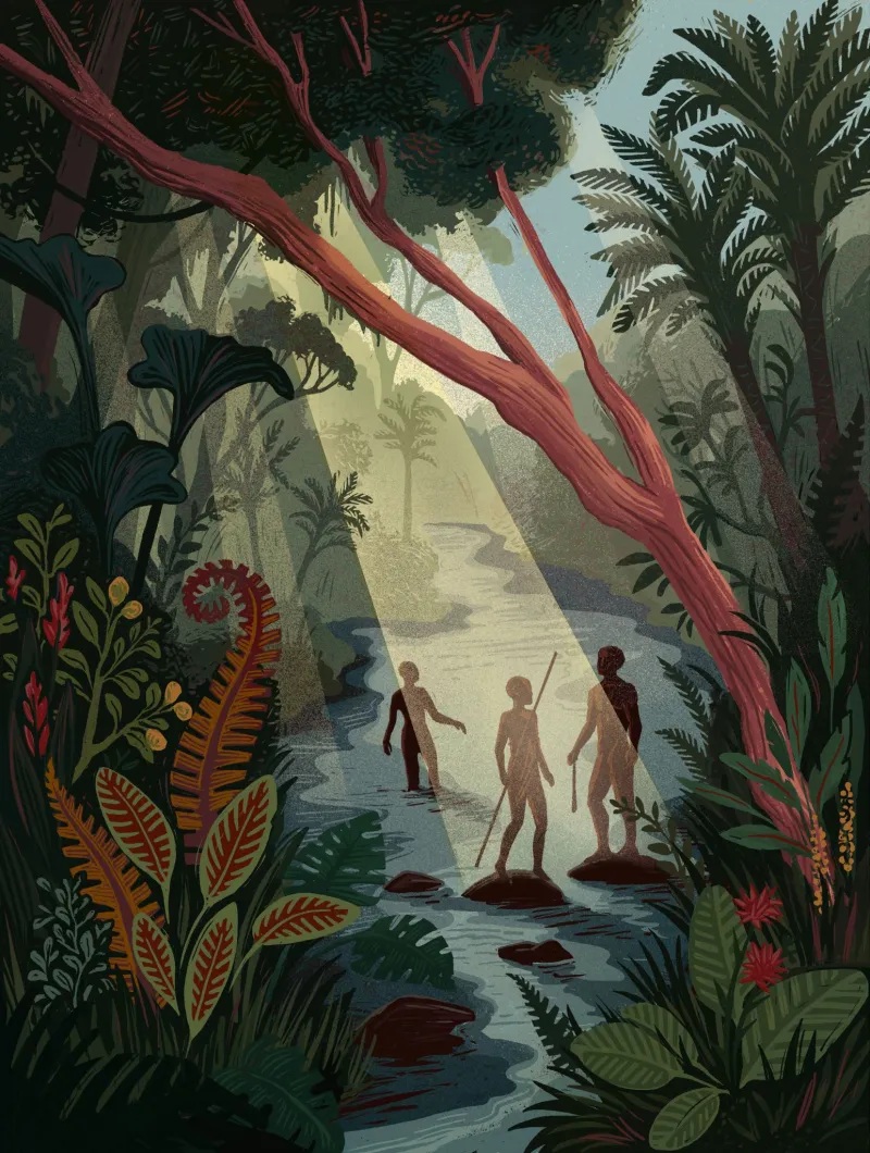 Les plus anciennes traces d’occupation d’Homo sapiens en forêt tropicale d&rsquo;Afrique de l&rsquo;Ouest