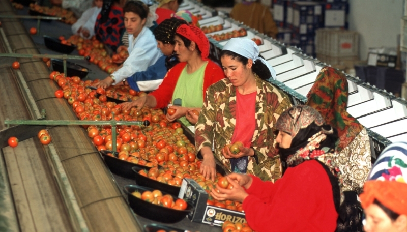 Maroc : De Paris à Rabat, le milieu agricole adopte la méthode des petits pas