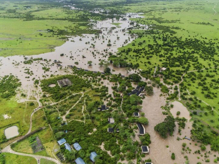 Urgence climatique en Afrique : planter des forêts, mais qui arrêtera les flots ?