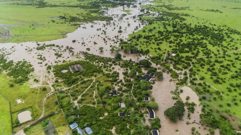 Urgence climatique en Afrique : planter des forêts, mais qui arrêtera les flots ?
