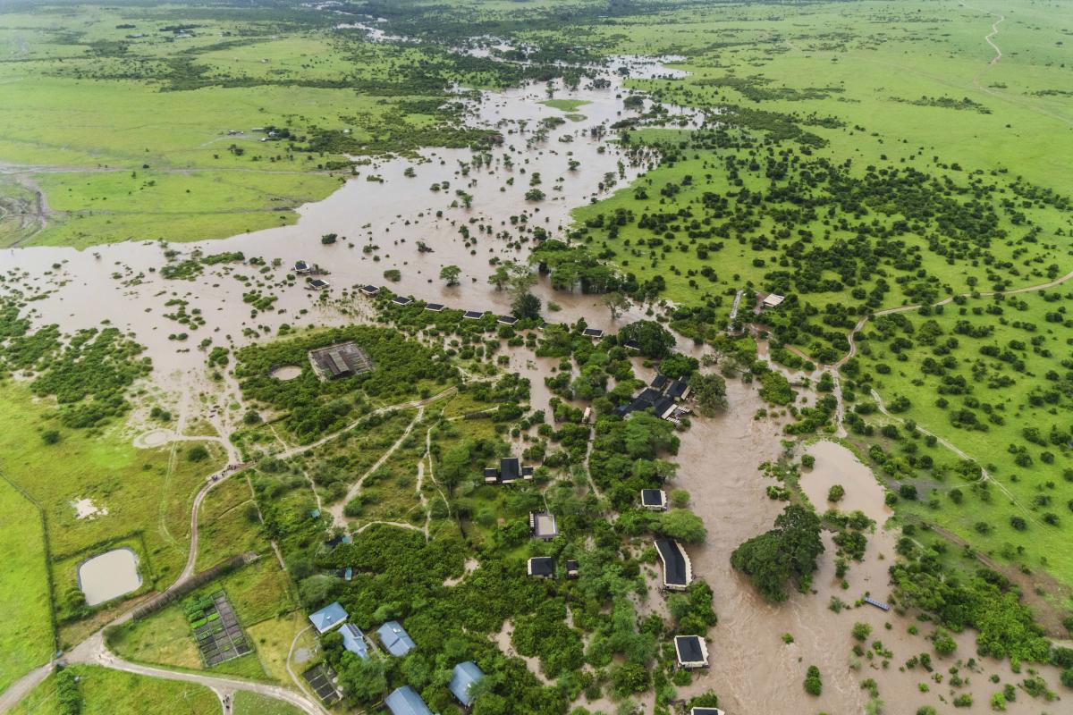 Urgence climatique en Afrique : planter des forêts, mais qui arrêtera les flots ?
