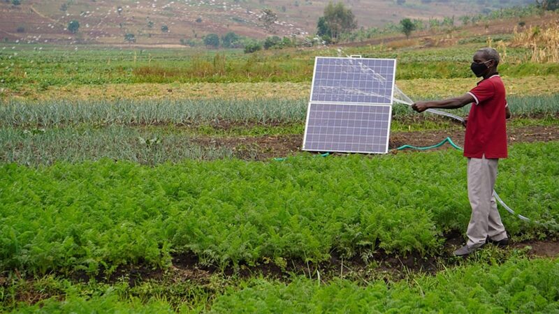 Start-ups vertes : l’Afrique, terrain fertile de la résilience